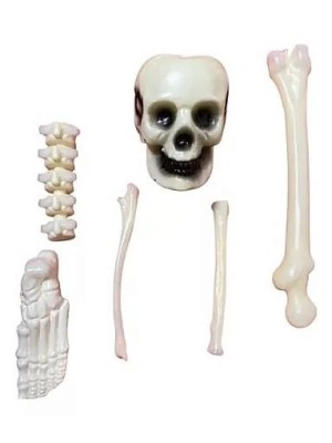 Esqueleto Kit Decorativo 40cm c/6 Peças – Decoração Halloween Realista para Casas, Festas e Ambientes Temáticos