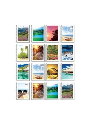 CADERNO FLEXIVEL 96F 1/4 ESPIRAL